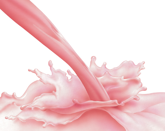 Lori Anzalone Illustration - Beverage Illustrator of packaging illustrator