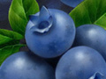 Illustrations for Food Fruit Juice Vegetable Packages Bottles Cans Boxes