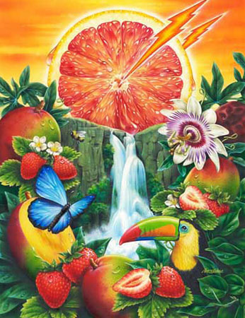 Lori Anzalone Illustration - Nature Illustrator of grapefruit jungle waterfall landscape