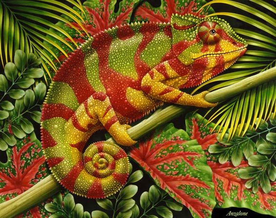 Lori Anzalone Illustration - Nature Illustrator of chameleon on branch in forest
