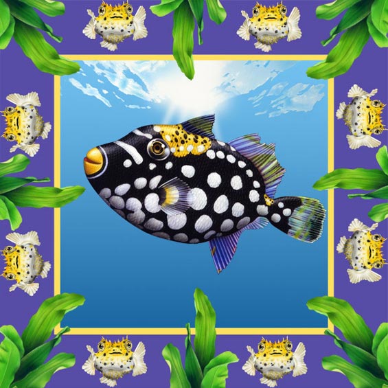  - polka-dot-fish