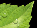 Illustrations for Food Fruit Juice Vegetable Packages Bottles Cans Boxes
