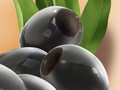 Illustrations for Food Fruit Juice Vegetable Packages Bottles Cans Boxes