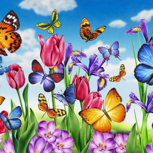 butterflies-flowers – Lori Anzalone Illustration
