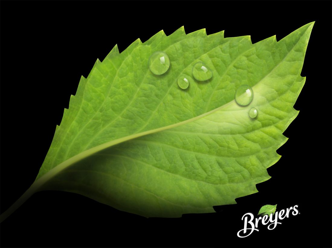 Breyers Logo Leaf