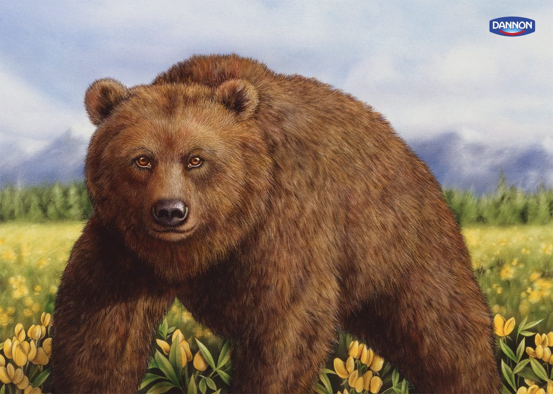Dannon Grizzly Bear