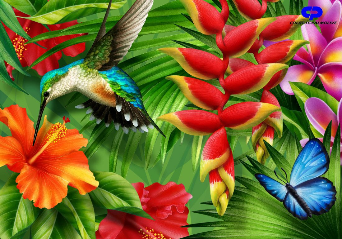 Colgate Jungle