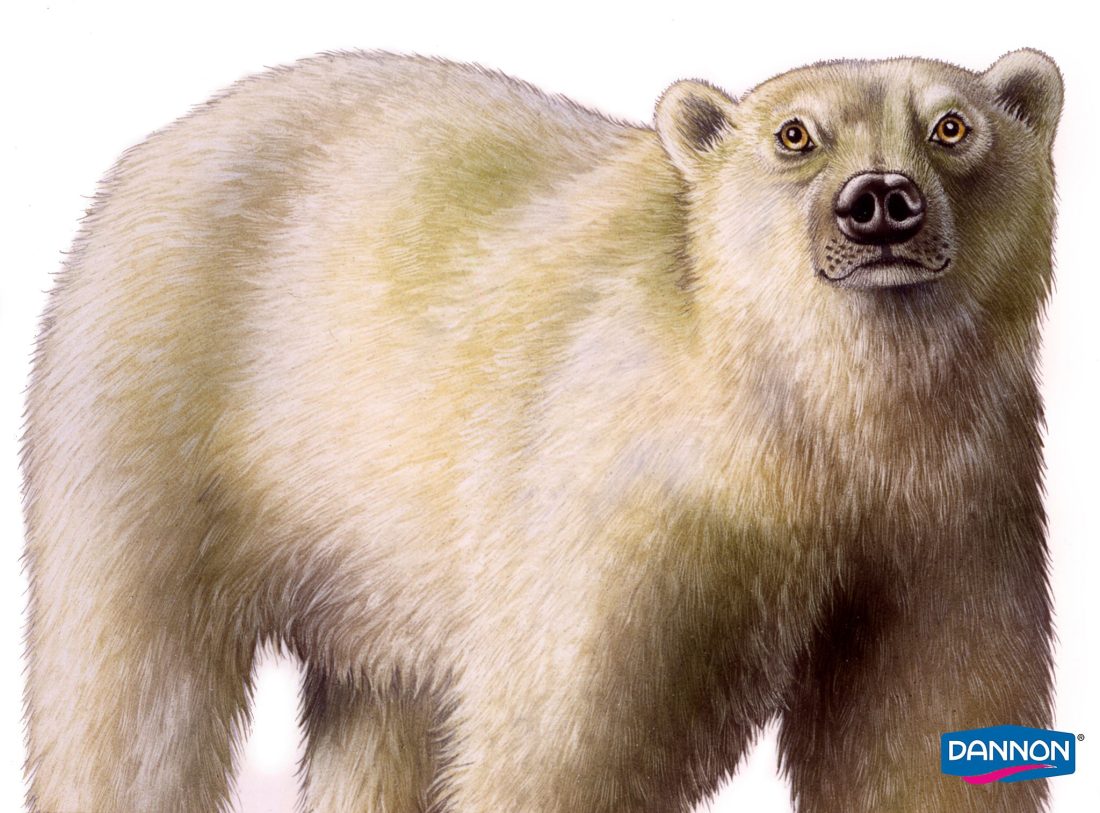 Dannon Polar Bear