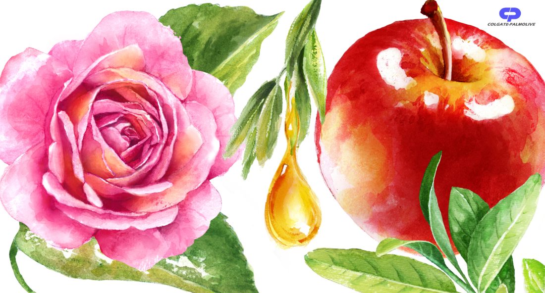 Colgate Watercolor Rose Apple