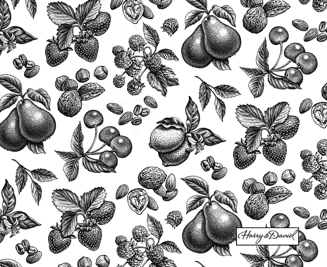 Harry & David Fruit Pen & Ink