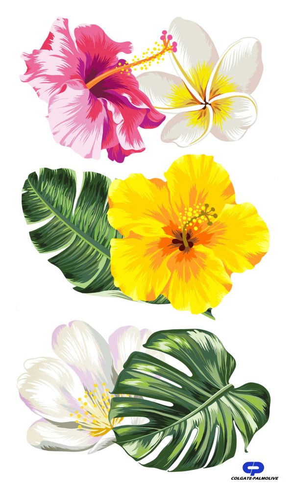 Vector Look Leaves Hibiscus Flowers