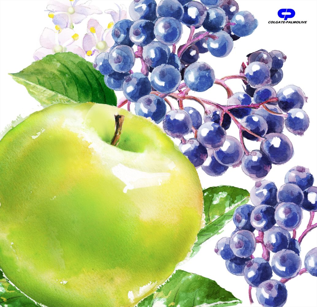 Colgate Apple Elderberry