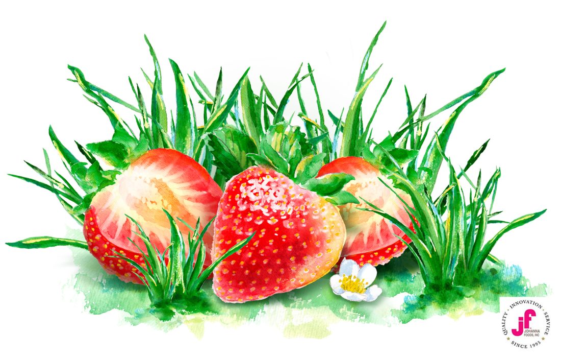 Earth Wise Strawberry