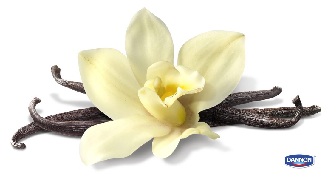 Dannon Vanilla Bean Flower