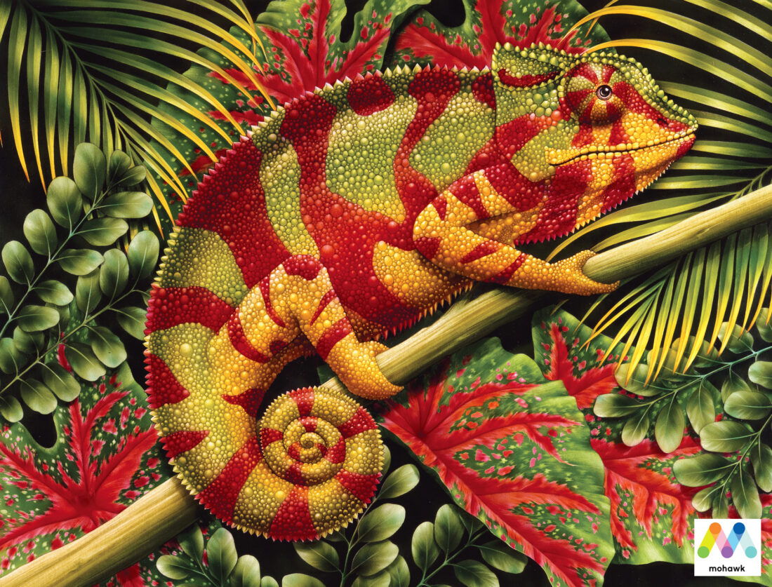 lori-anzalone-illustration-nature-mohawk-chameleon