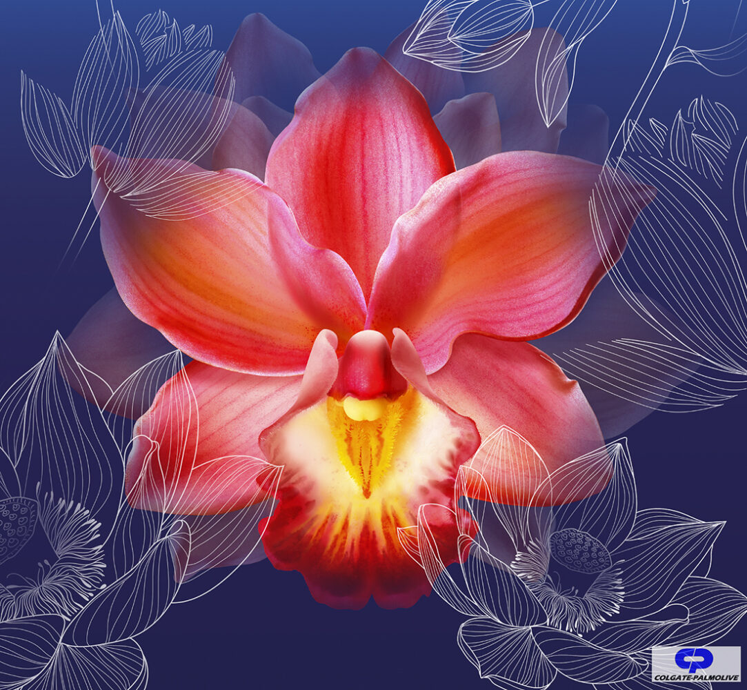 Orchid Flower Colgate Palmolive